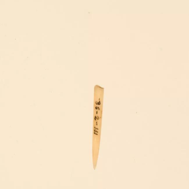 Aguja (arqueológico y etnográfico)