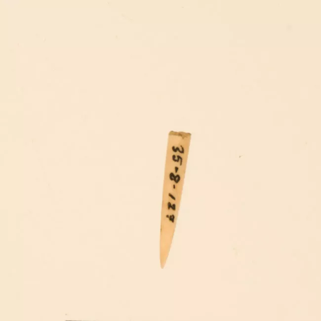 Aguja (arqueológico y etnográfico)