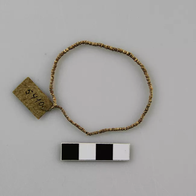 Collar (accesorio de vestir)