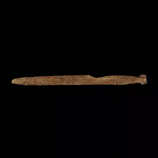 Barba de anzuelo