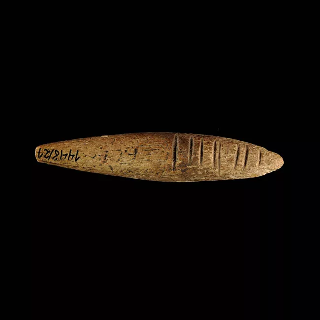 Barba de arpón