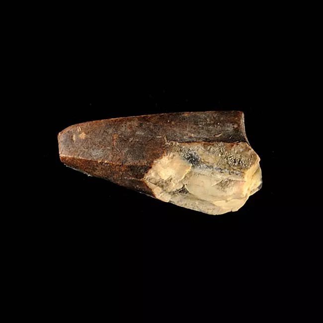 Barba de arpón