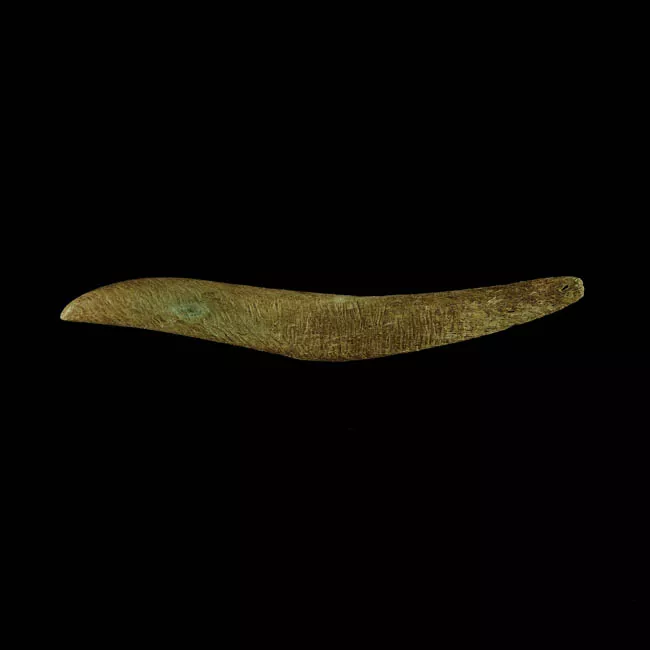 Barba de arpón