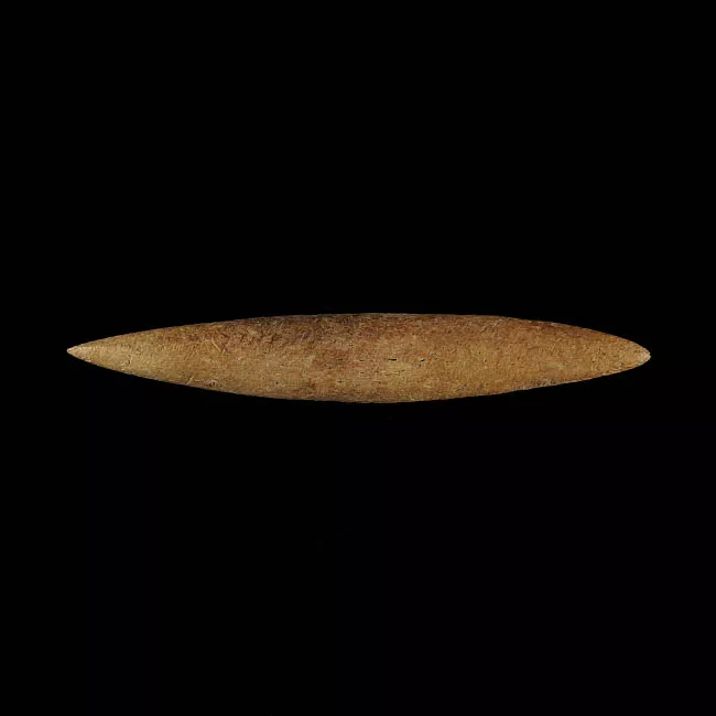Barba de arpón