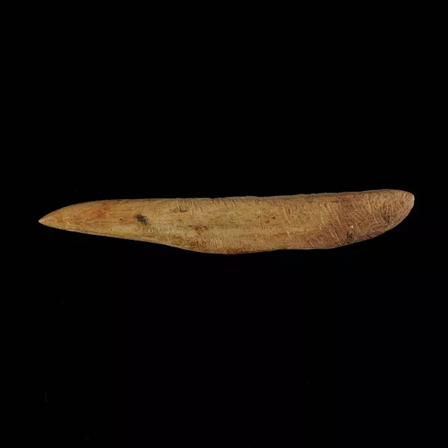 Barba de arpón