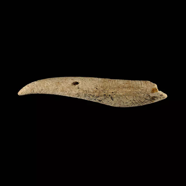 Barba de arpón