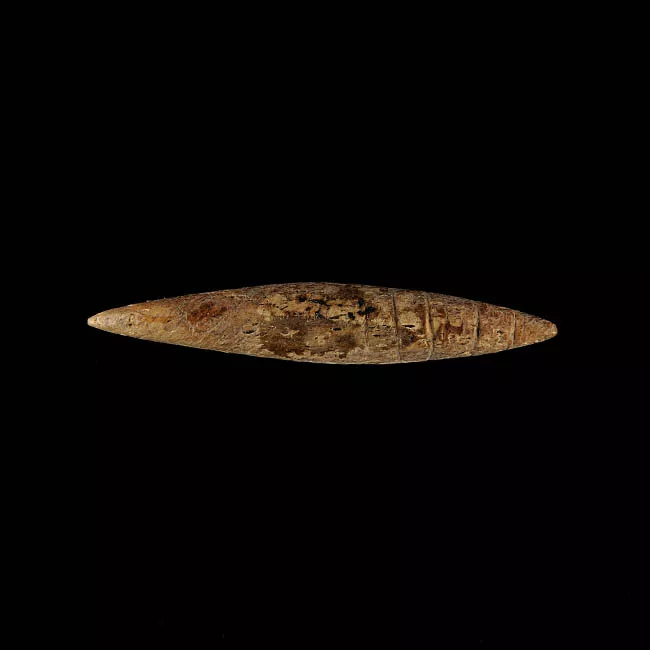 Barba de arpón