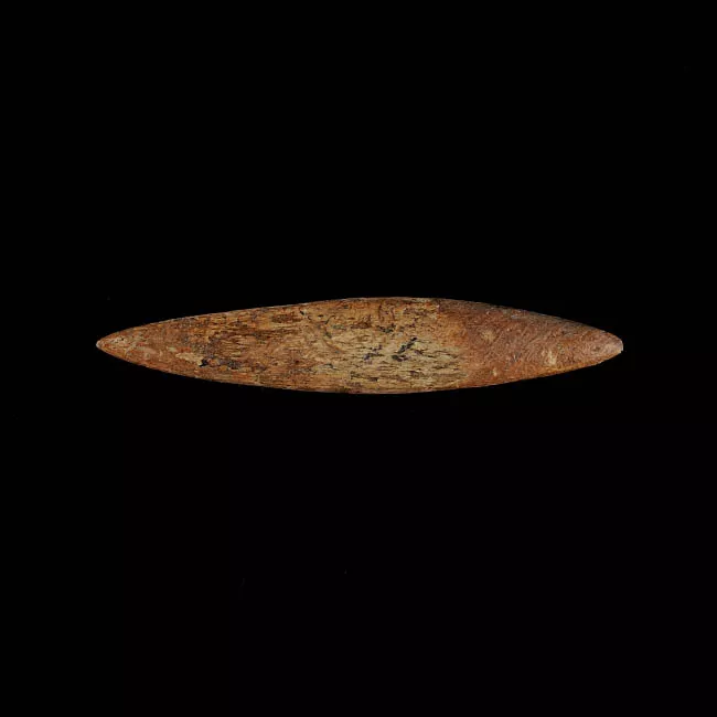 Barba de arpón