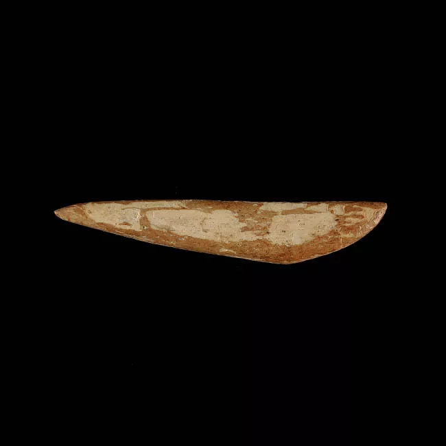 Barba de arpón