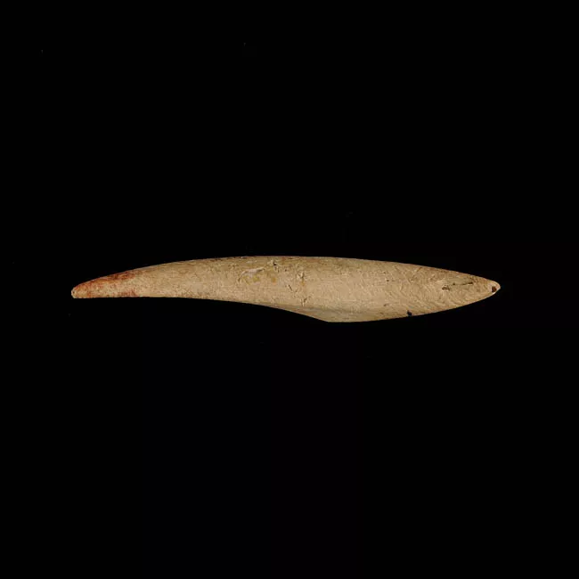 Barba de arpón