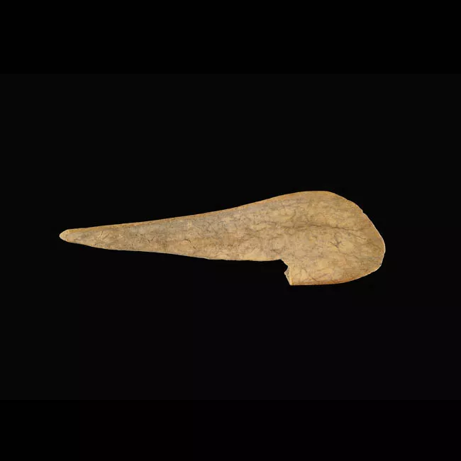 Espátula