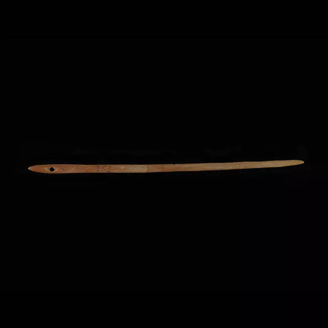 Aguja (arqueológico y etnográfico)