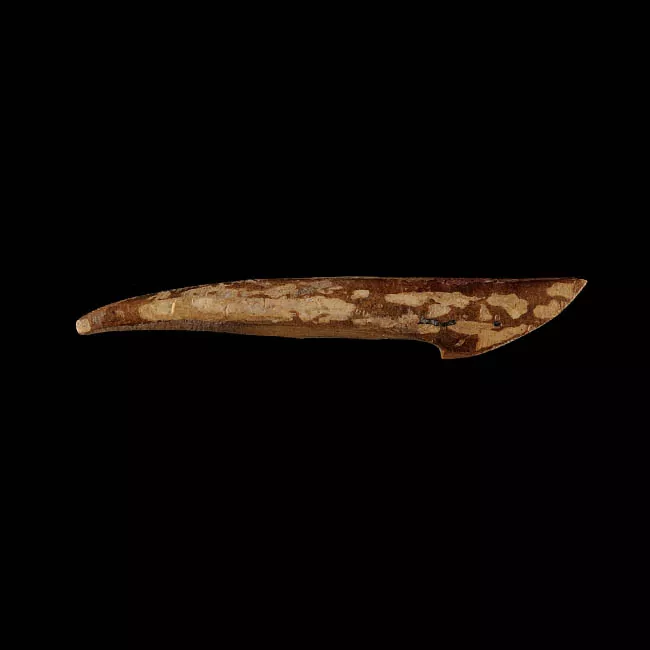 Barba de arpón