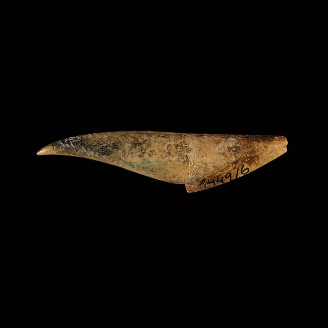 Barba de arpón
