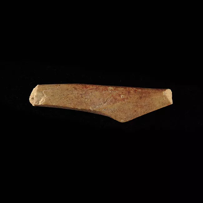 Barba de arpón