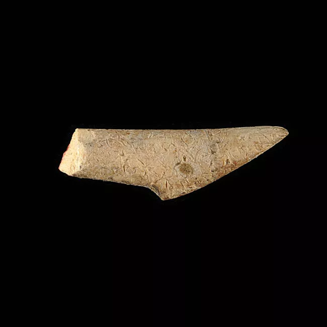 Barba de arpón