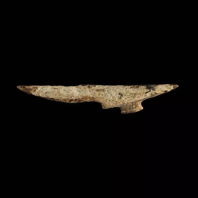 Barba de arpón