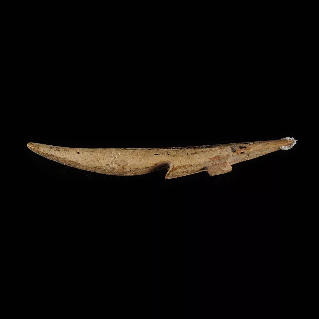 Barba de arpón