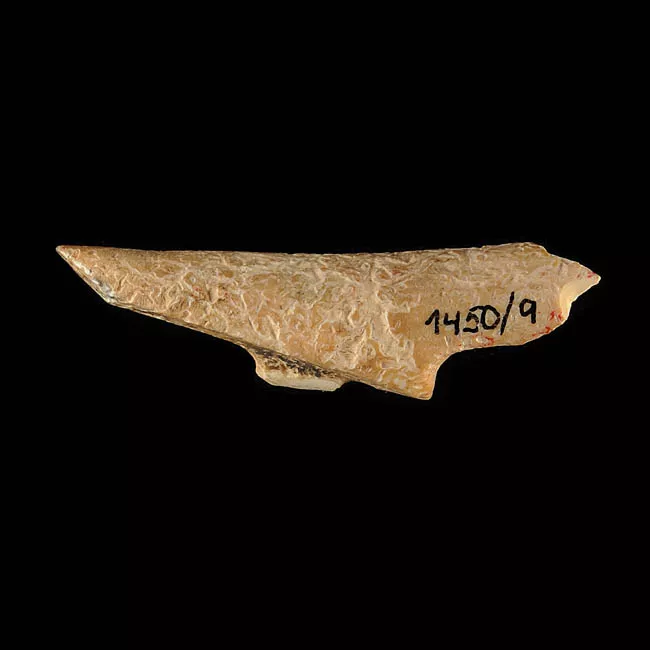 Barba de arpón