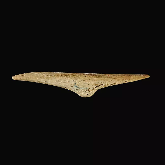 Barba de arpón