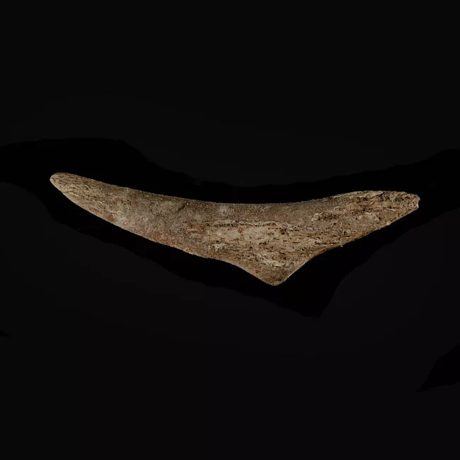 Barba de arpón