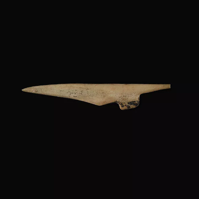 Barba de arpón