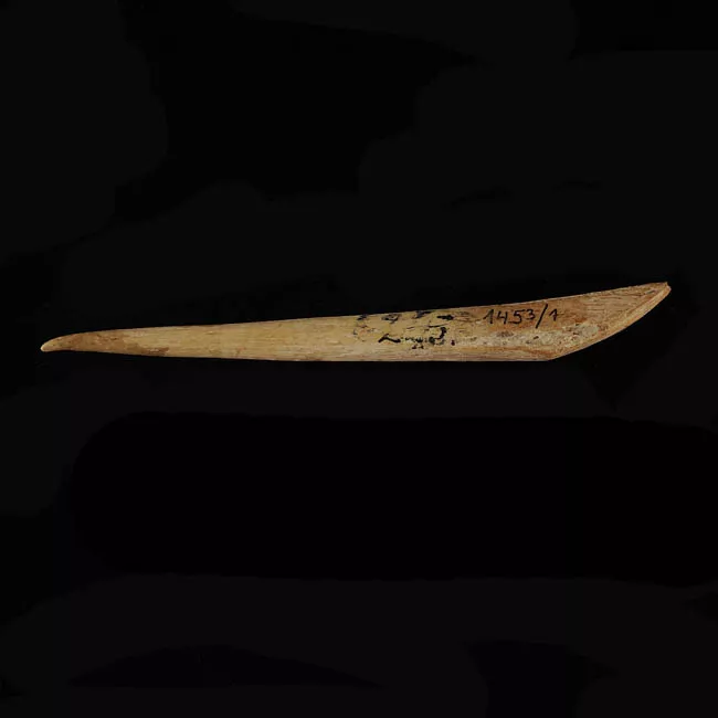 Barba de arpón