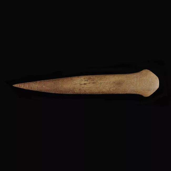 Barba de arpón