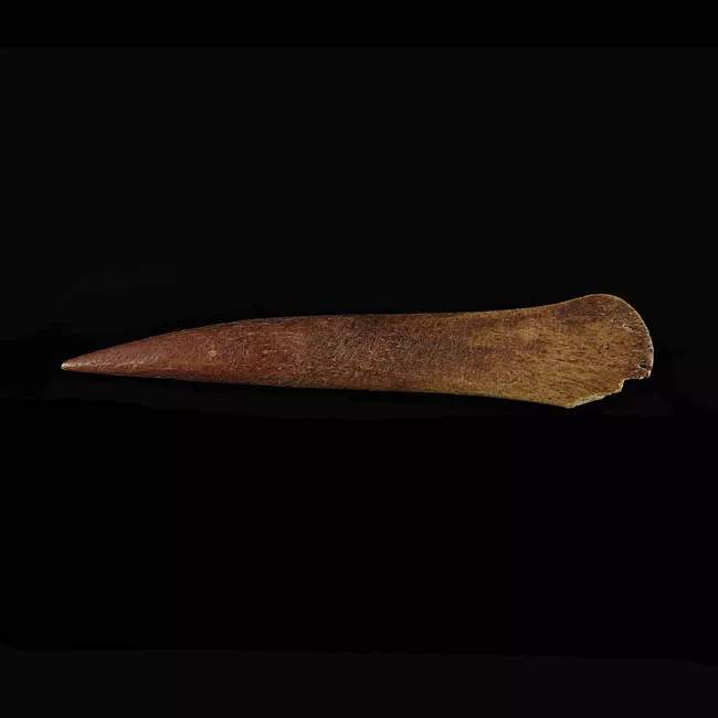 Barba de arpón