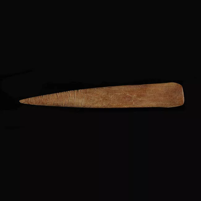 Barba de arpón