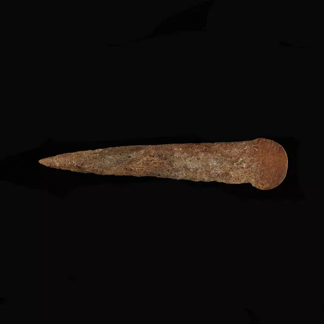 Barba de arpón