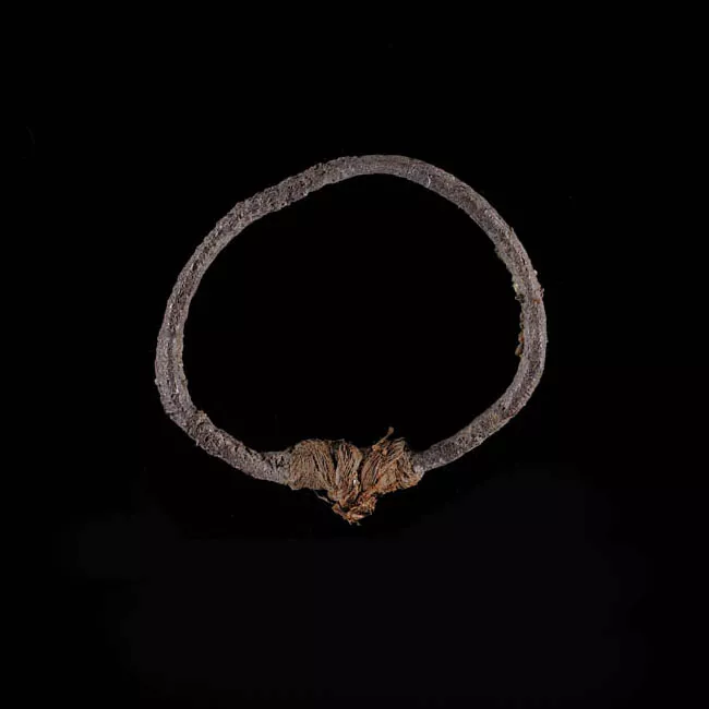 Anillo (joya)