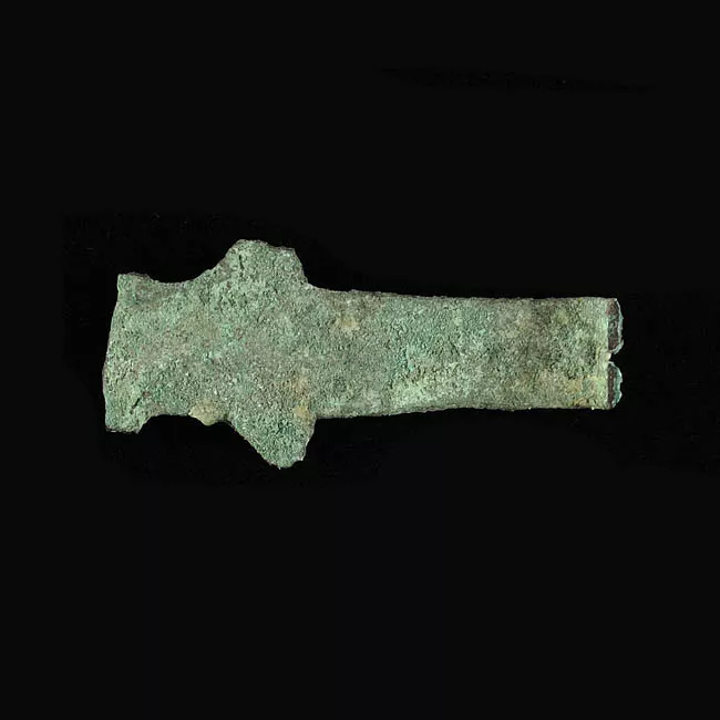 Pinza