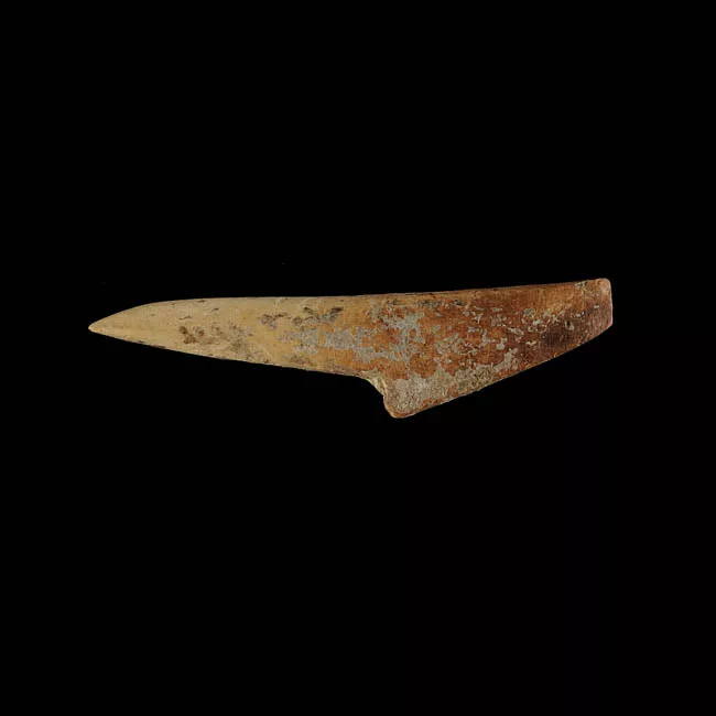 Barba de arpón