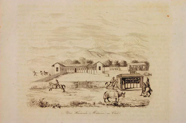 Una pequeña hacienda en Chile