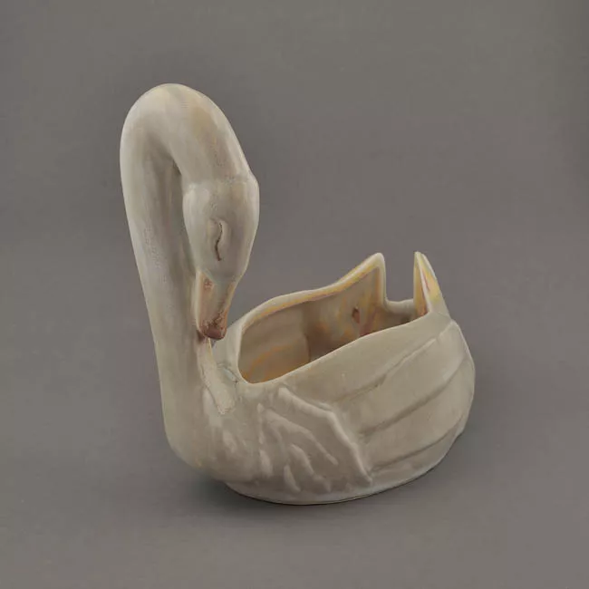 Cisne