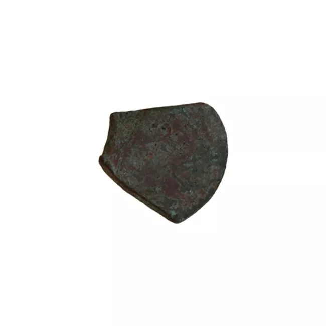 Pinza