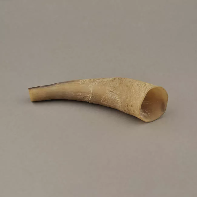 Cacho (contenedor)
