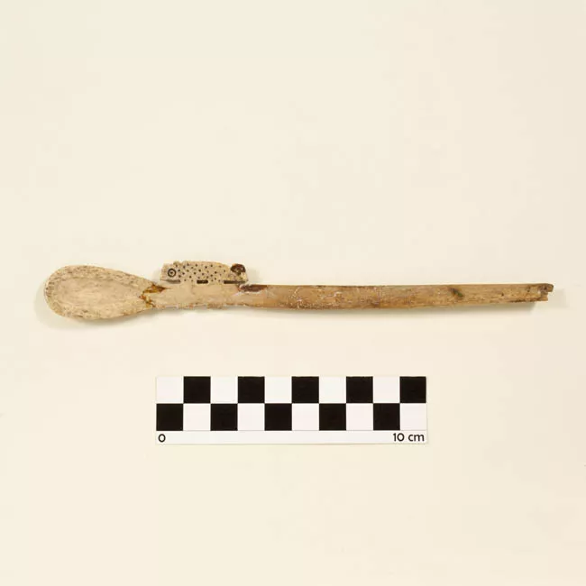Cuchara
