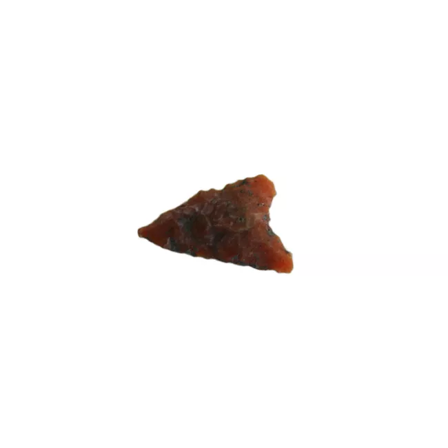 Micropunta de proyectil