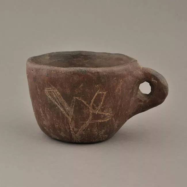 Taza