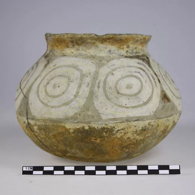 Vasija