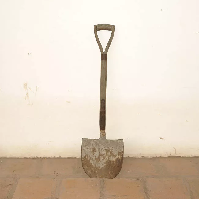 Pala