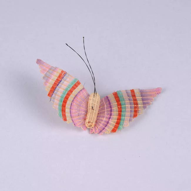 Mariposa