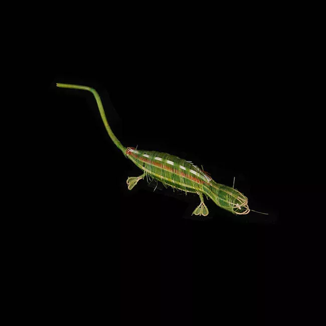 Prendedor