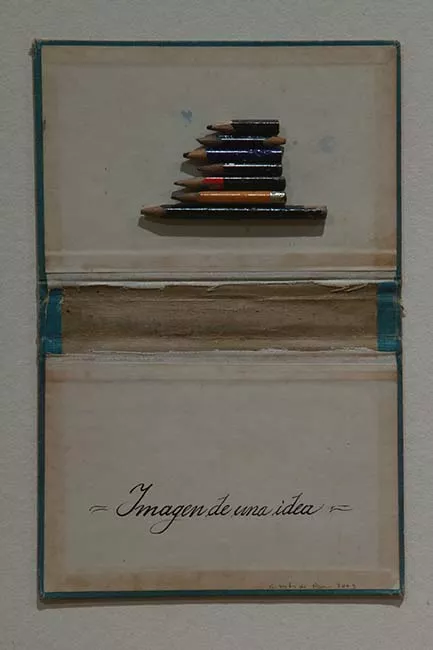 Imagen e Idea