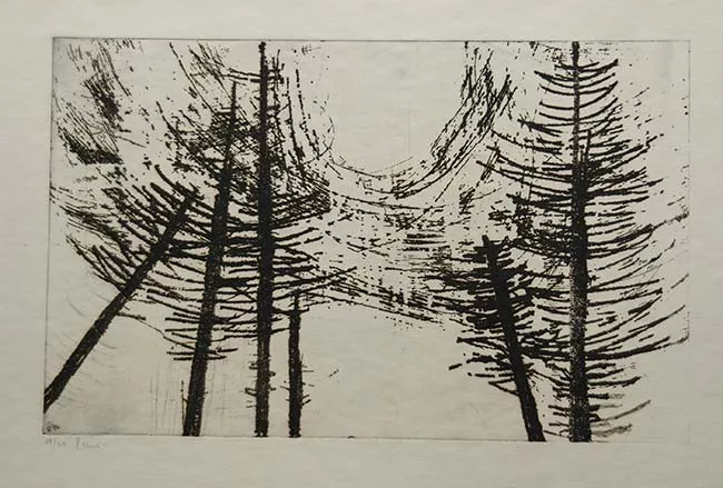 Pinos
