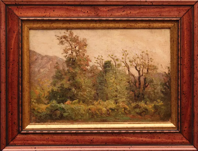 Paisaje con árboles