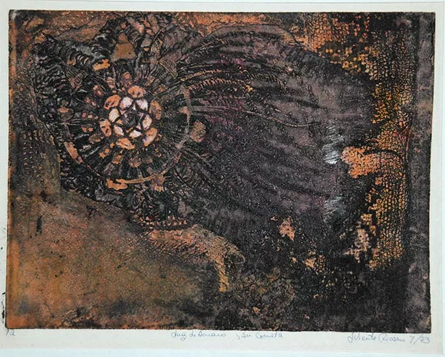 Luz De Acuario Y Su Cometa