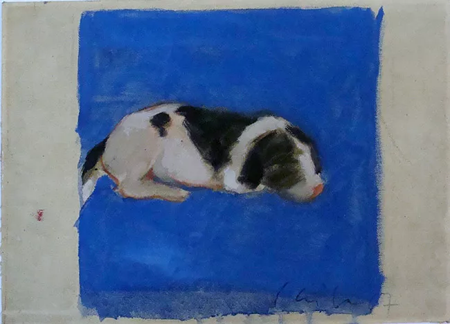 Perrito
